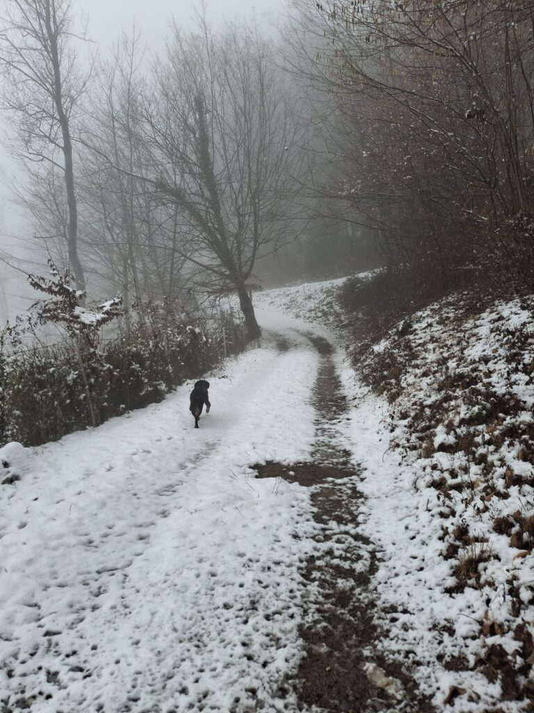 Kira nella neve