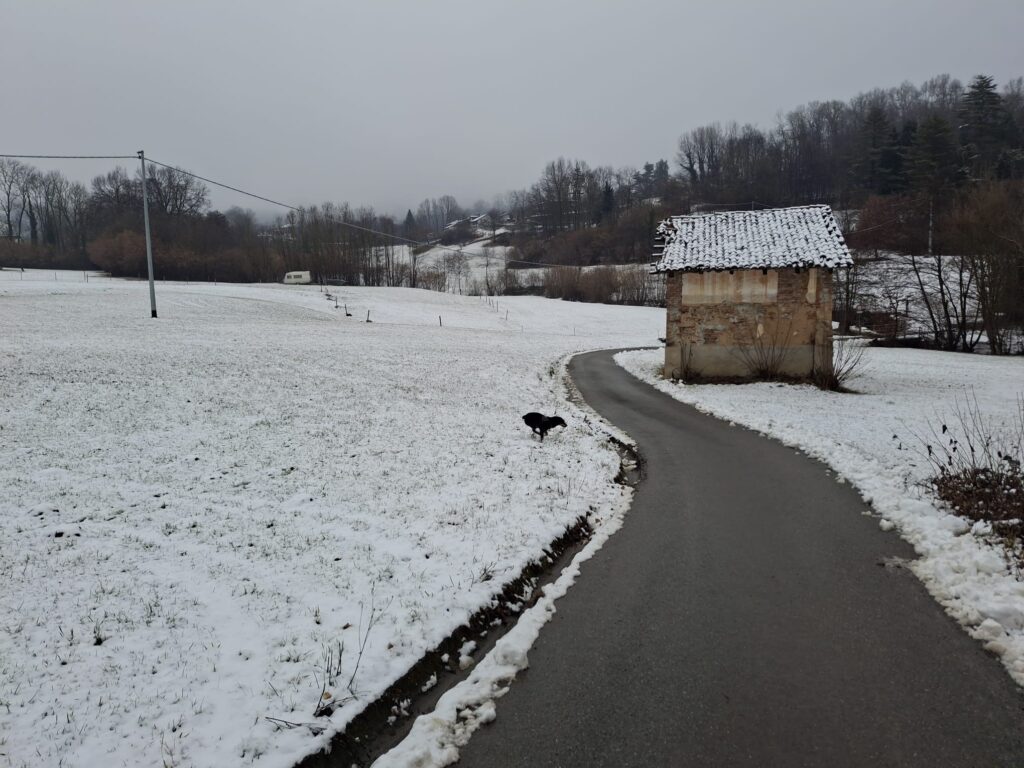 Ancora Kira nella neve